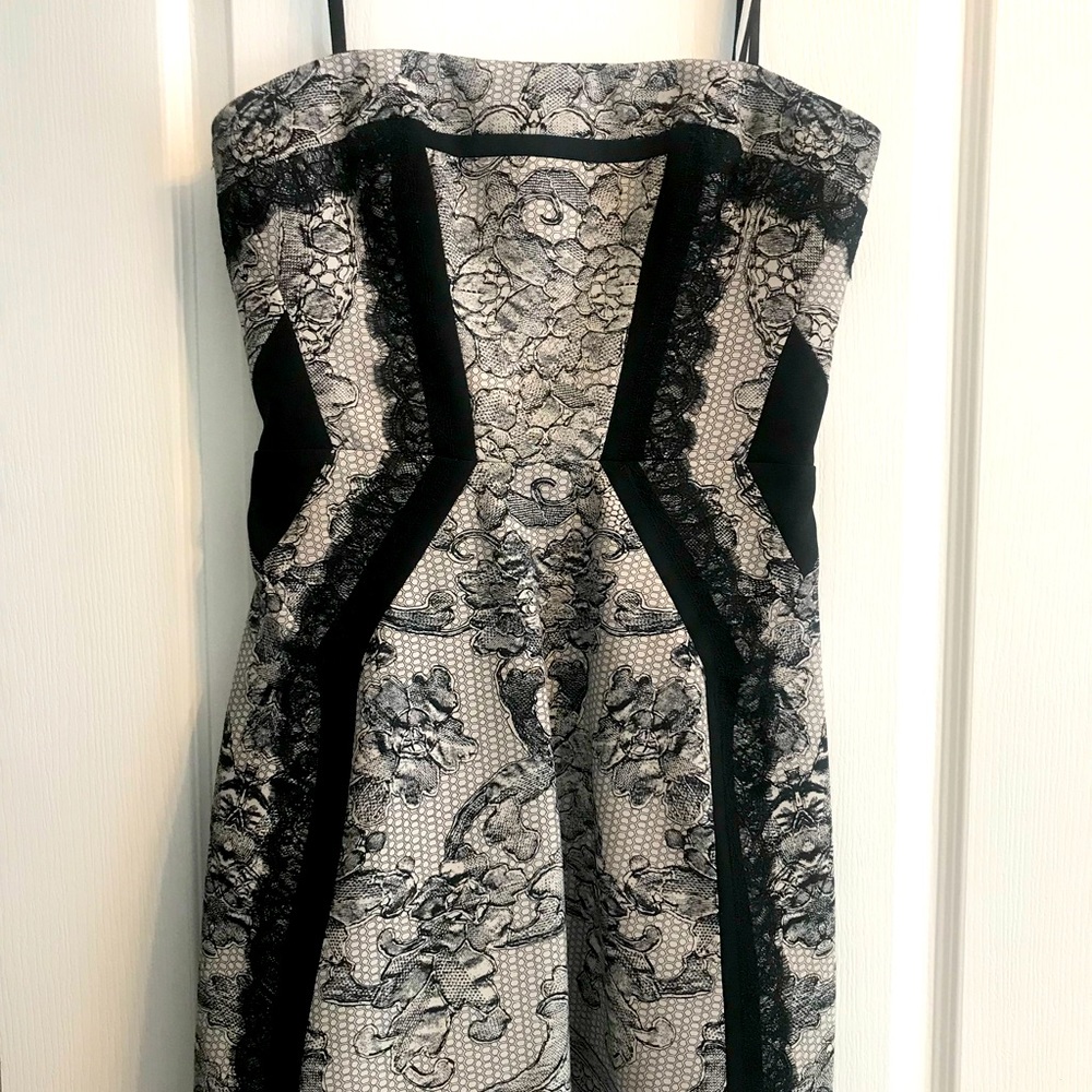 MINT BCBG a-line Lace Print Dress